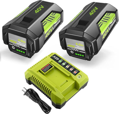 2 Baterías 40V 6Ah y Cargador Ryobi para Herramientas Inalámbricas