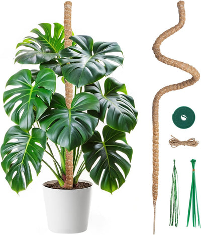 Poste musgo 47pulg soporte para Monstera y plantas trepadoras