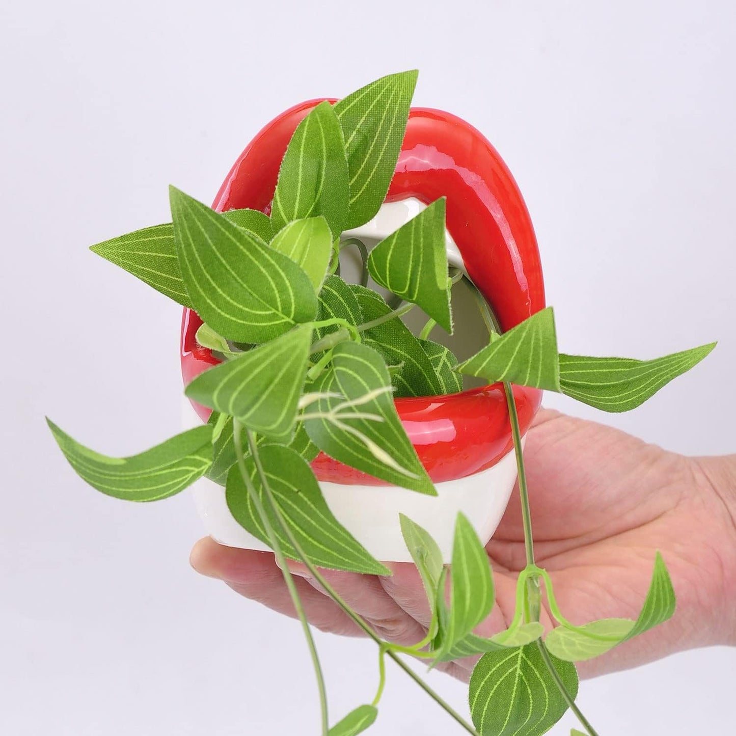 Maceta cerámica suculenta roja