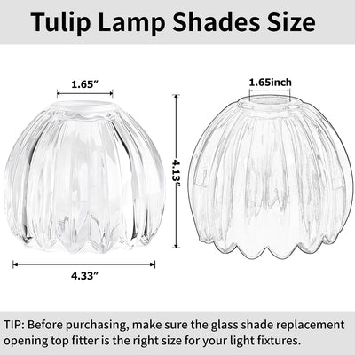3 Pantallas Lámpara Tulipán Vidrio Transparente 1.65x4.33pulg