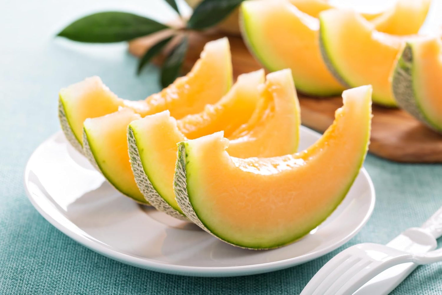 Paquete 4 variedades semillas melón no transgénicas