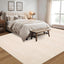 Alfombras 5x7ft para sala dormitorio oficina resistente manchas