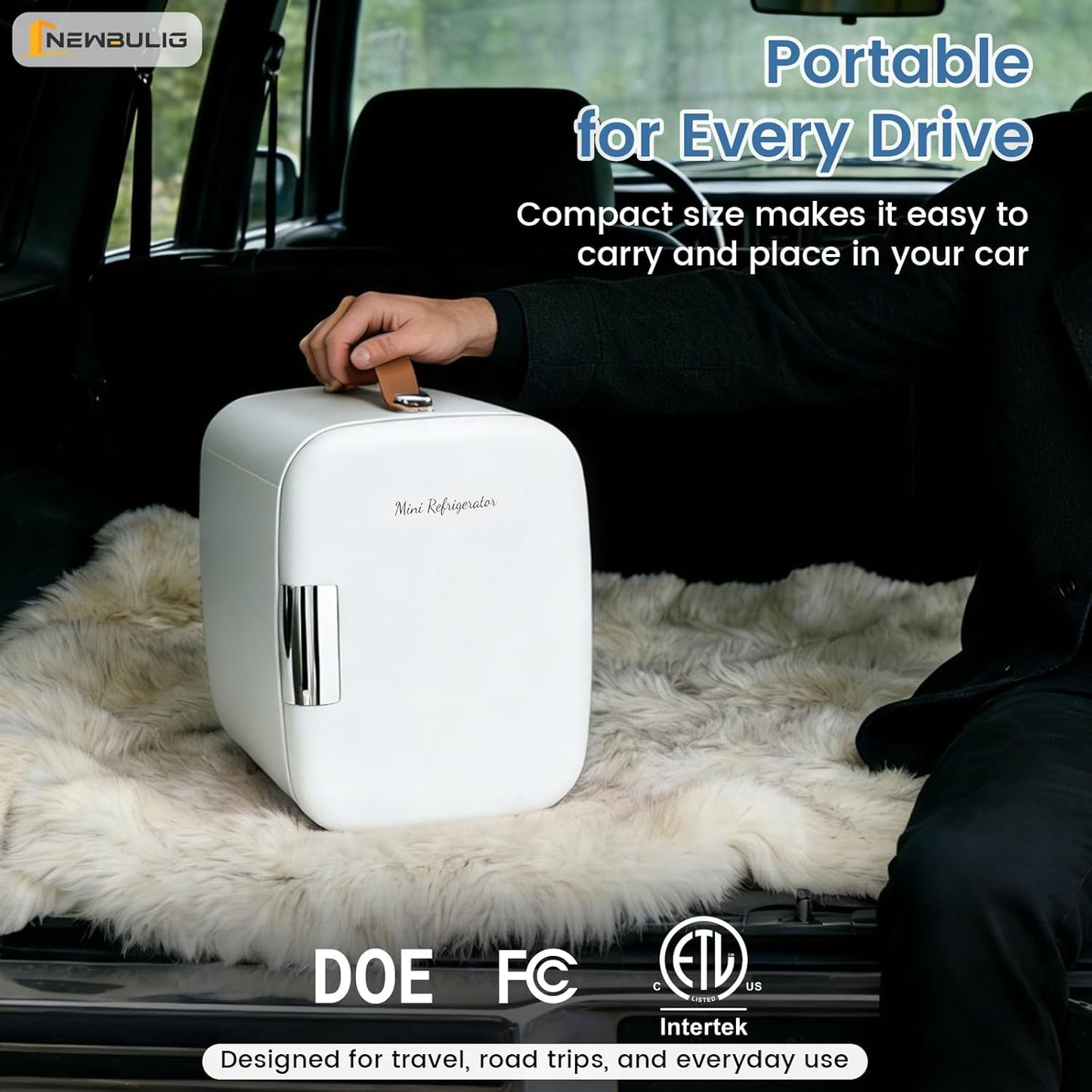Mini refrigerador portátil 4 L para dormitorio, oficina y automóvil con asa