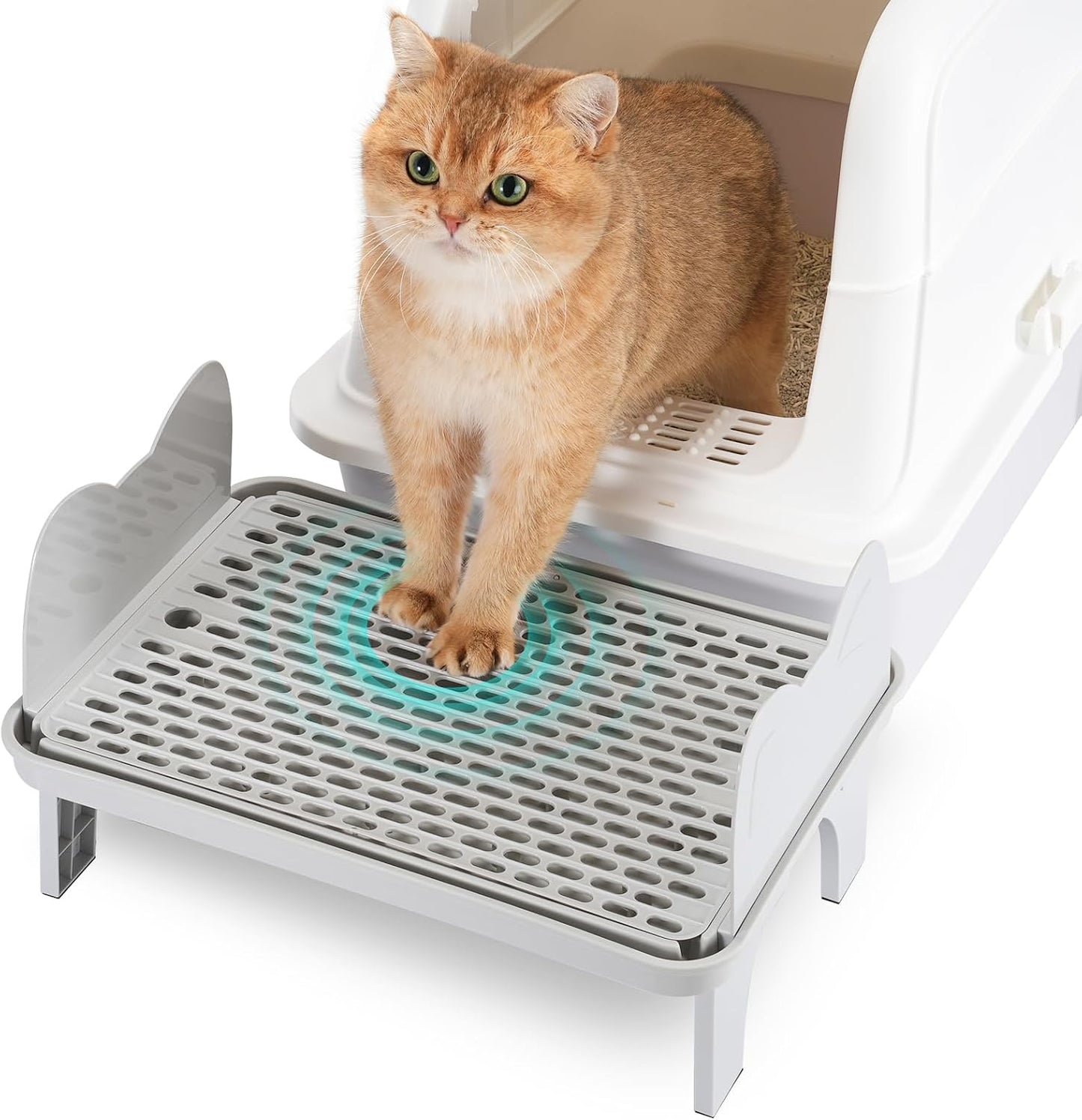 Escalera para caja de gato rampa grande antirastreo