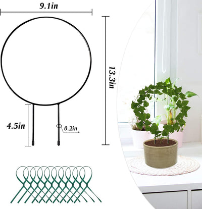 Enrejado metal negro soporte vid hierro 10 lazos flores maceta