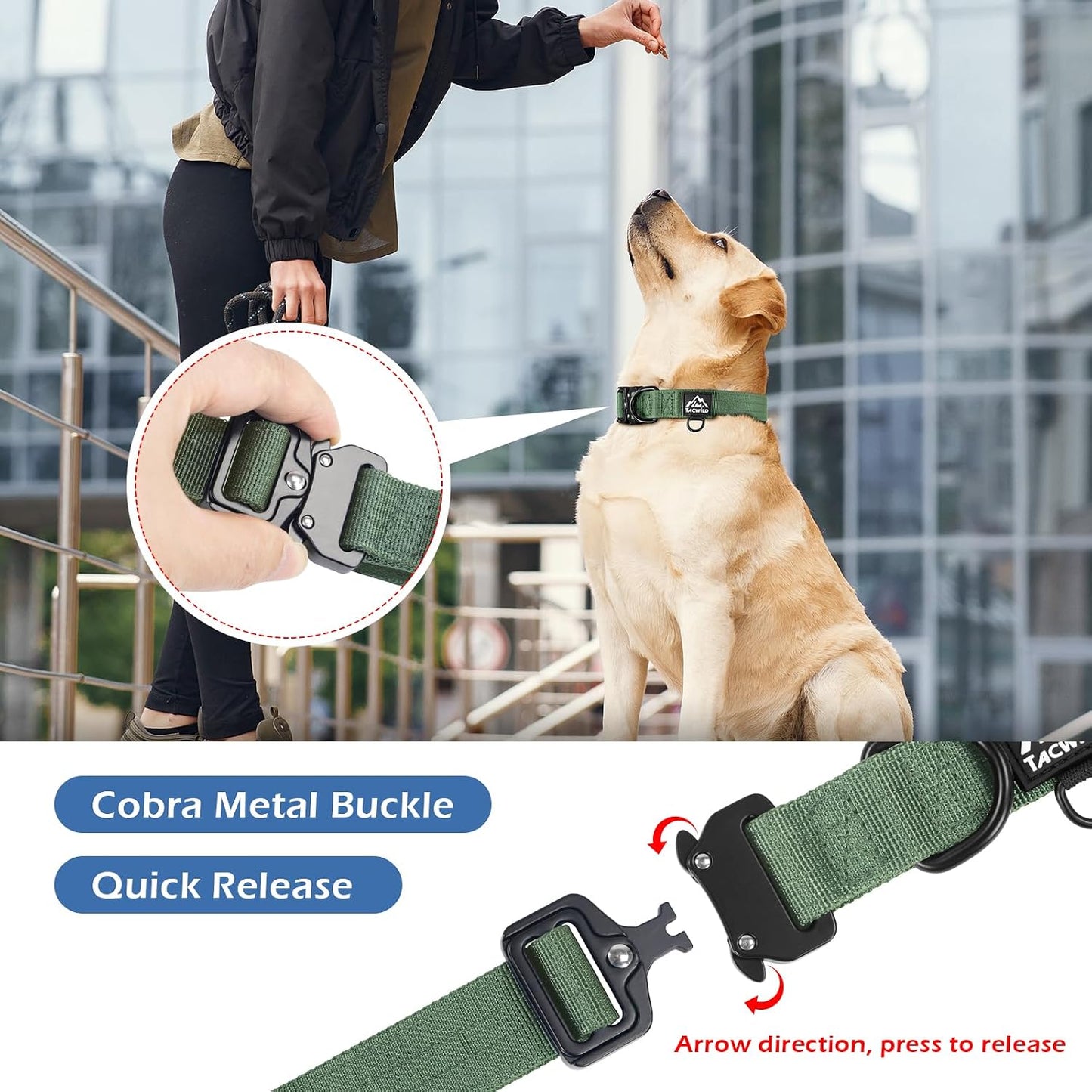 Collar perro grande ajustable a prueba de mordidas anillo D verde