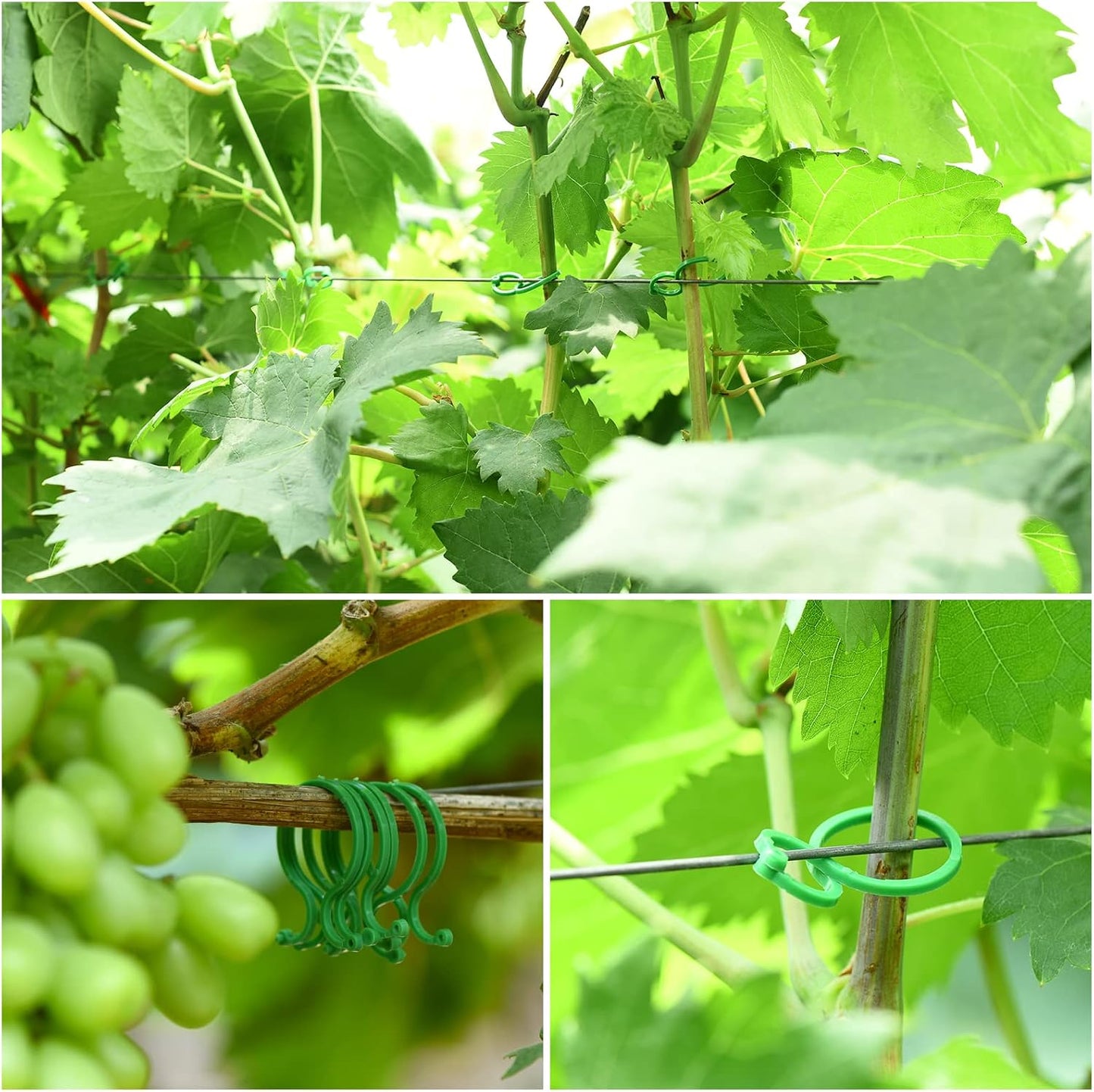 24m lazos verdes para plantas 20 pzas clips jardinería