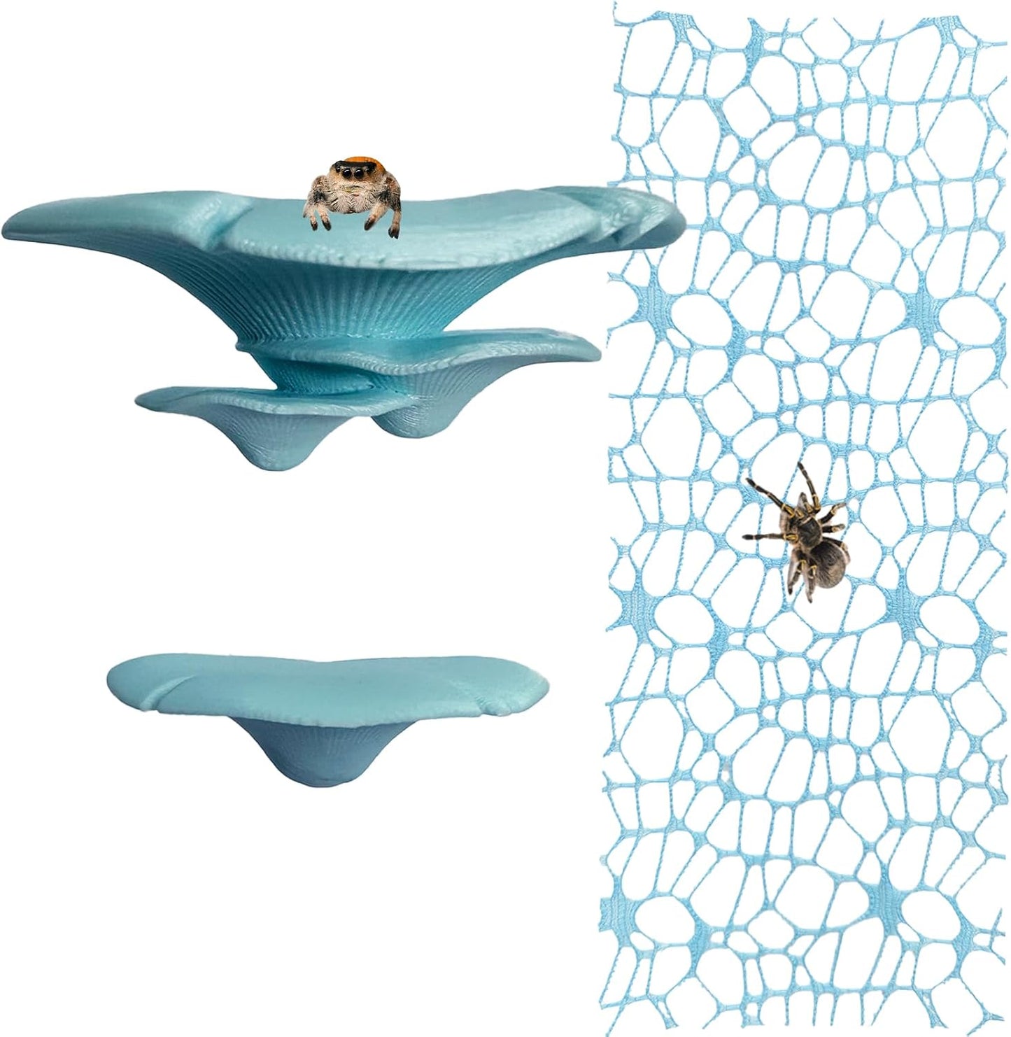 Accesorios hábitat araña estante magnético plataformas