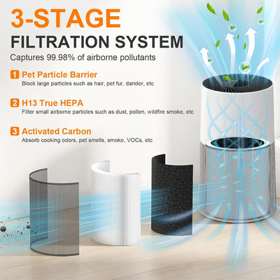Filtro repuesto C610 Z para purificador Winix True HEPA 3en1