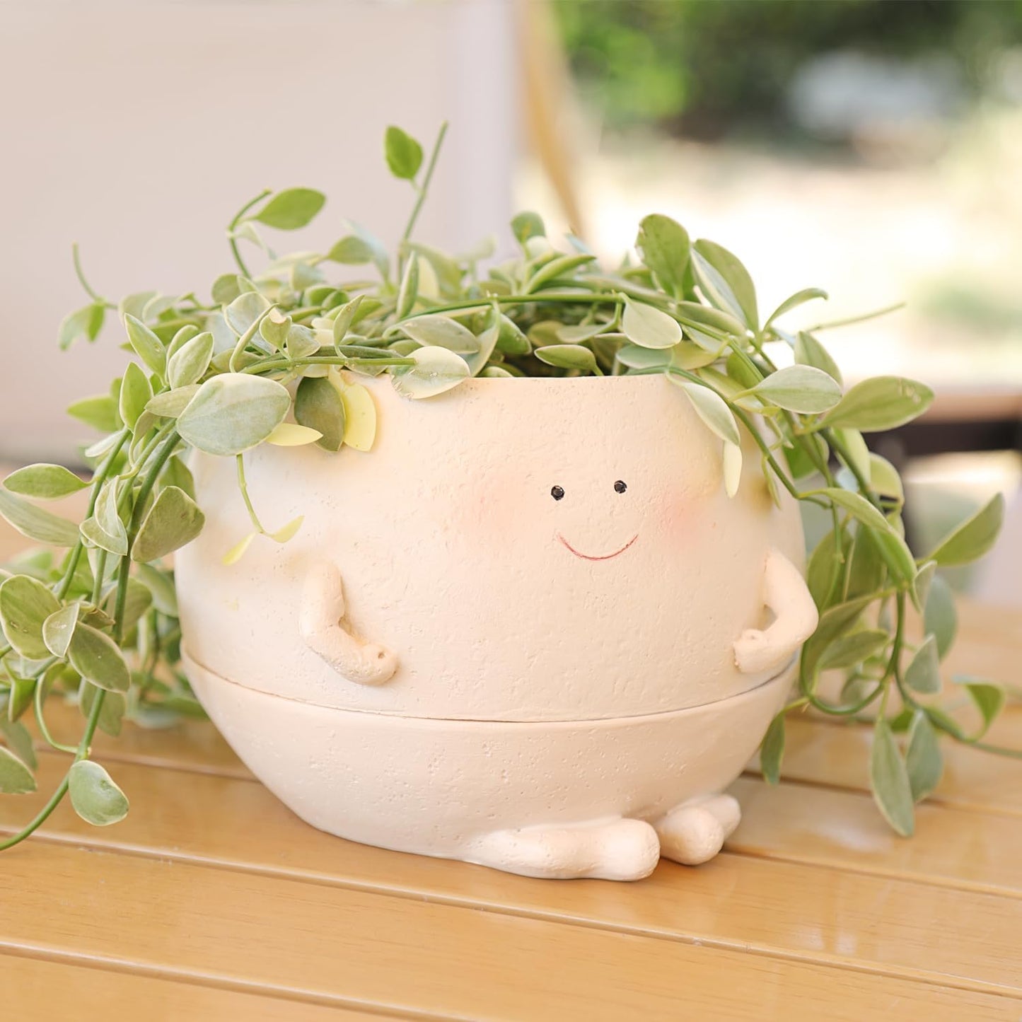 Maceta riego automático cara sonriente plantas