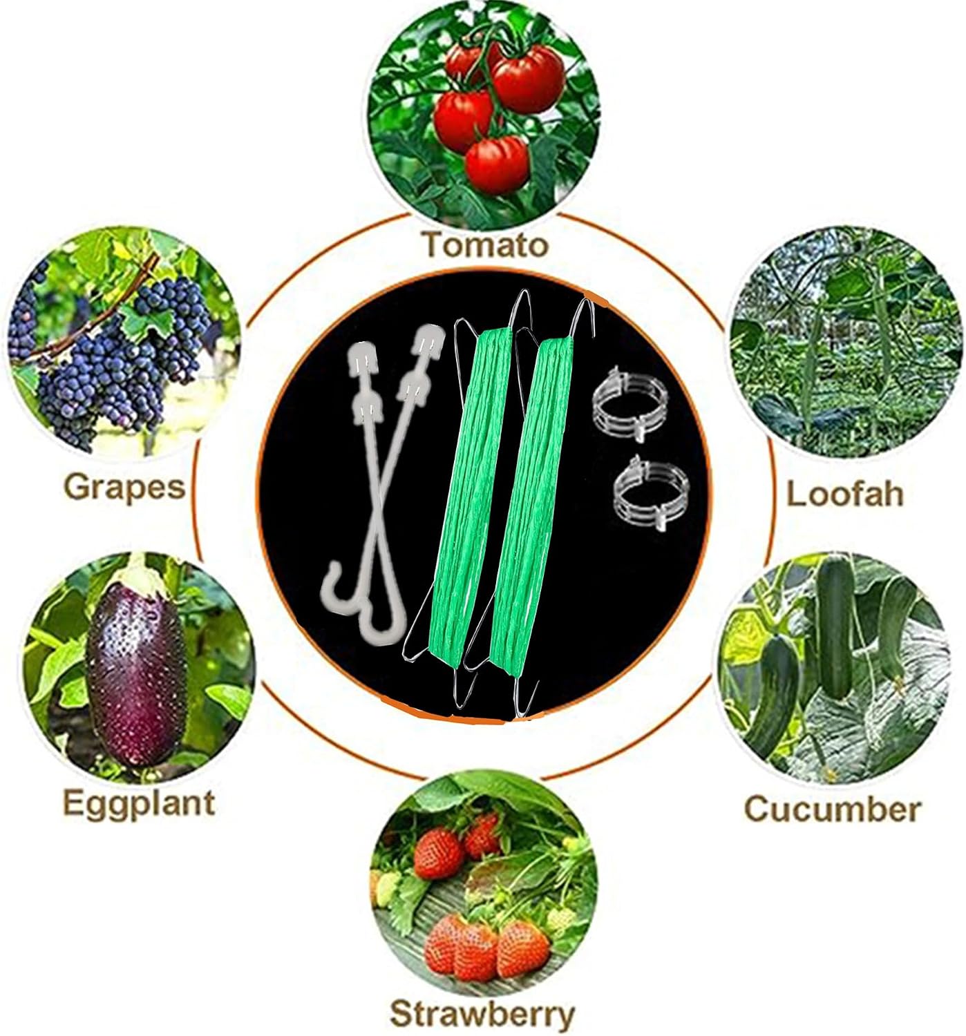 60 Ganchos Tomate Cuerda 32.8ft Clips Soporte Plantas