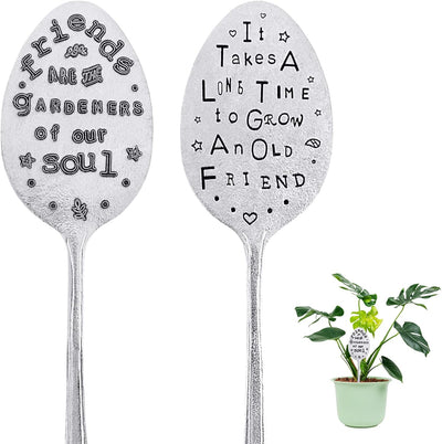 2 Pack Marcadores Jardín Cuchara Plata Etiquetas Creativas