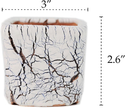 Macetas cerámica drenaje set 2 3pulg interiores exteriores