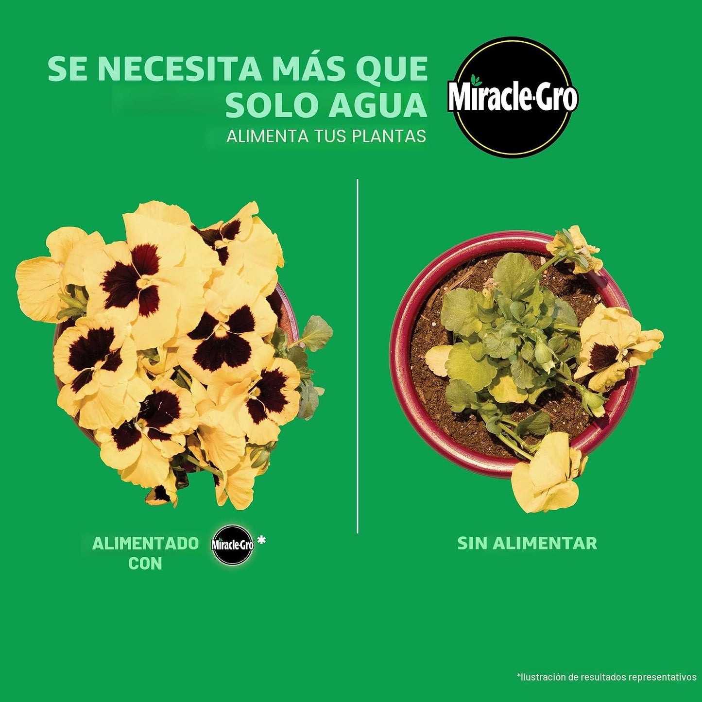 Recambio alimentos flores Liquafeed Bloom 2 pzas