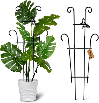 Enrejado para plantas trepadoras 23pulg vid Pothos Hoya