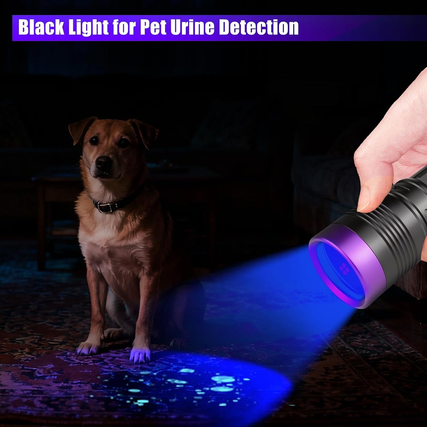 Linterna UV 365nm recargable con enfoque ajustable