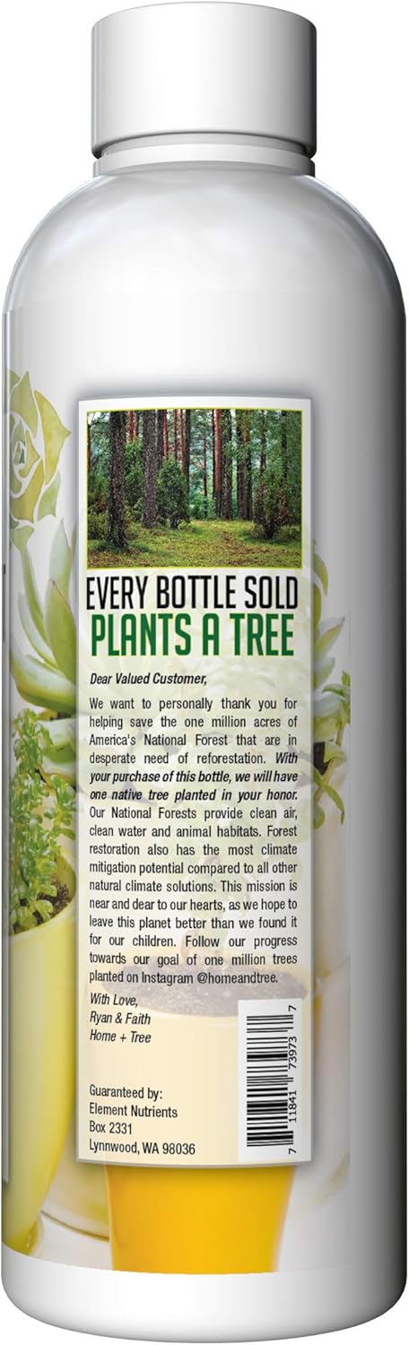 Fertilizante para suculentas y cactus planta árbol