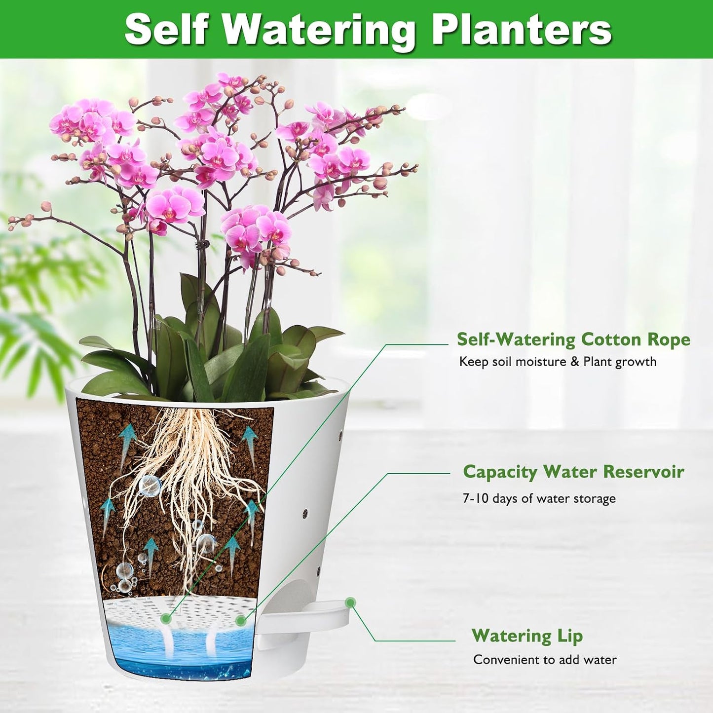 Macetas orquídea riego automático 6pulg pack 2 plástico blanco
