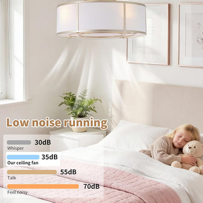 Ventilador techo enjaulado 20pulg luces 6 velocidades