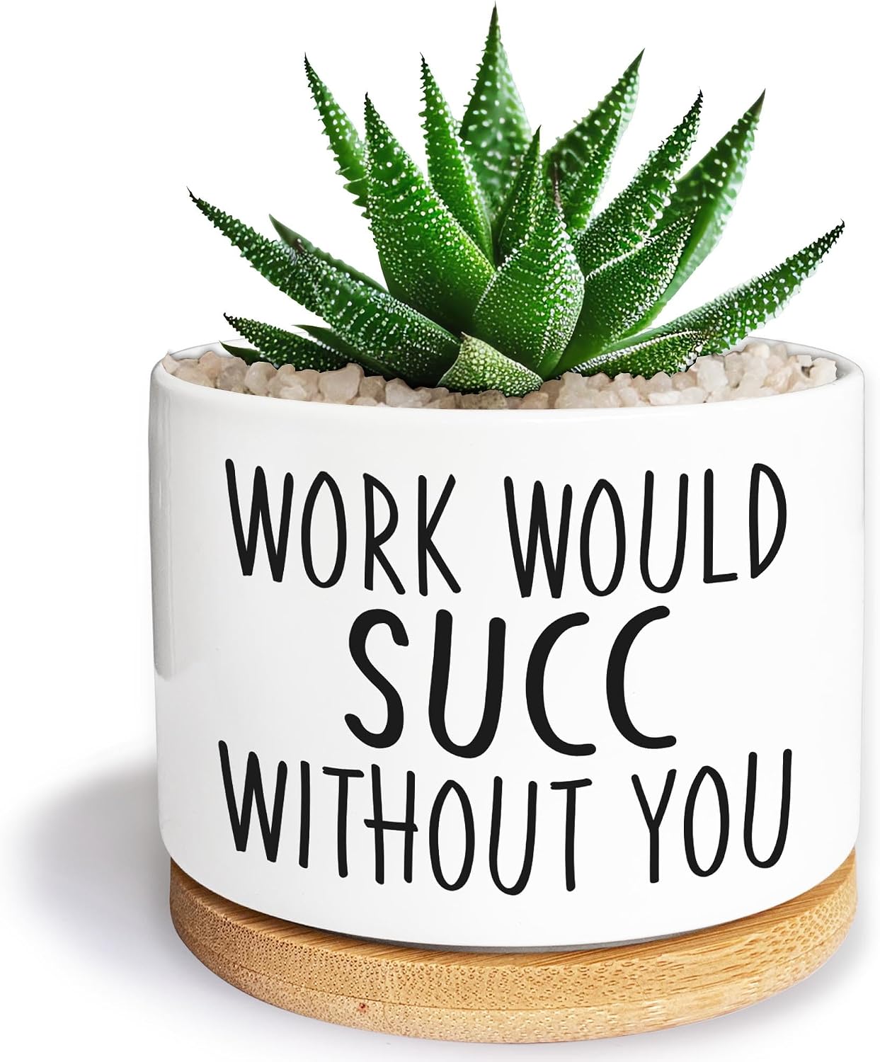 Maceta cerámica 3.5pulg cactus escritorio