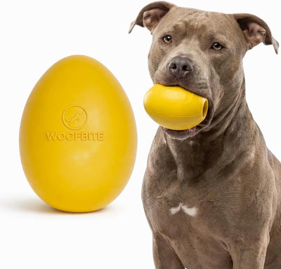 Bola huevo indestructible para masticadores agresivos goma natural
