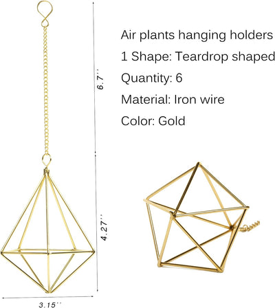Soportes para plantas de aire 6 pzas colgante Glod con cadena