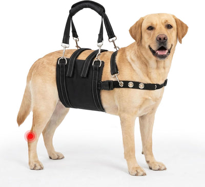 Arnés elevación ajustable perros grandes soporte pierna
