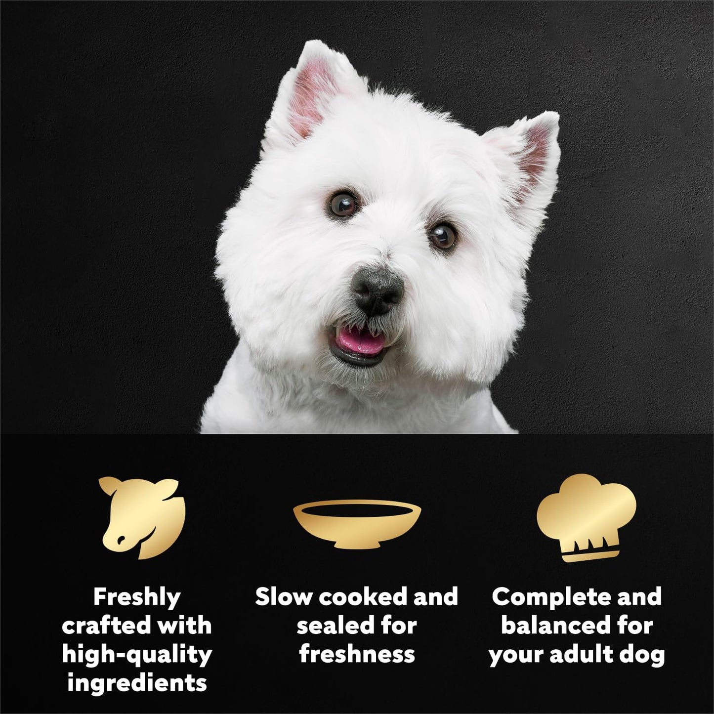 Alimento húmedo para perros sabor carne Angus 1.76oz 20uds