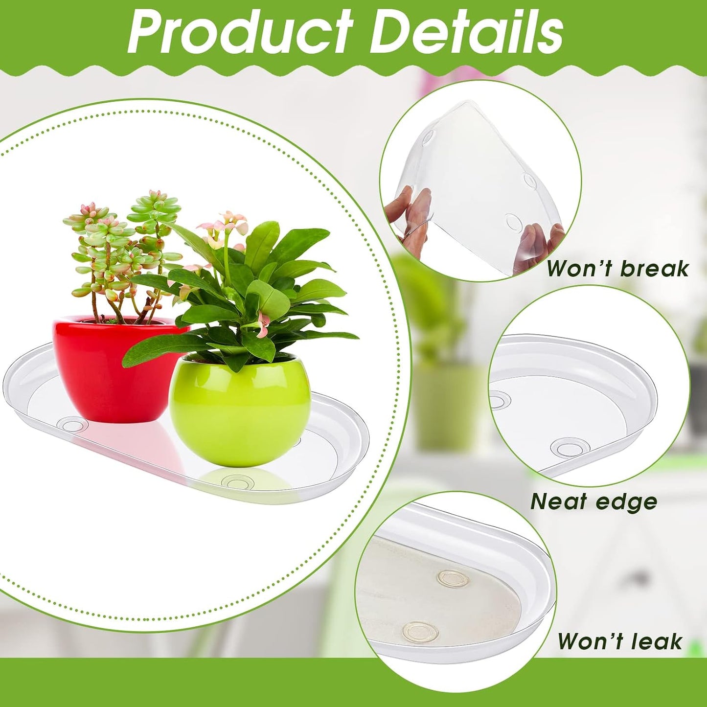 10 Bandejas Plástico 12x6pulg para Plantas Interiores