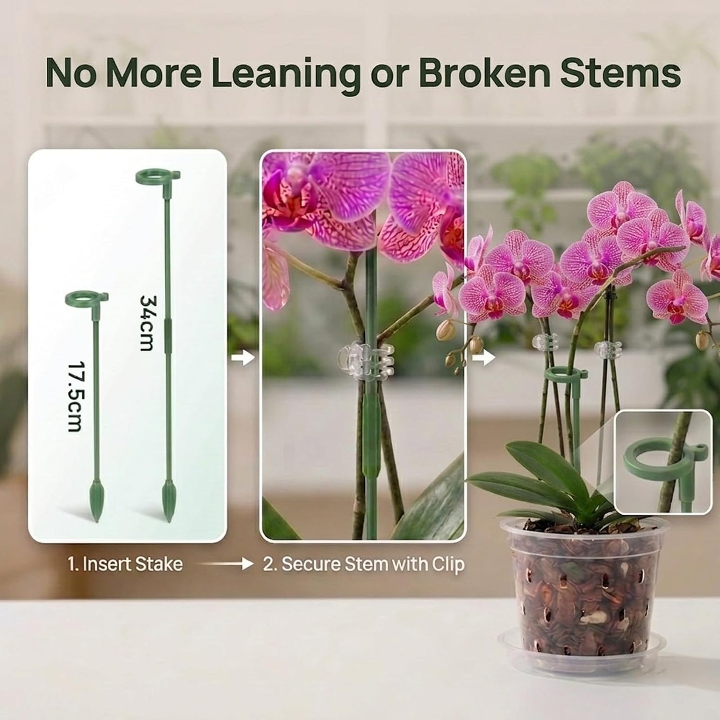 Maceta plástico orquídea 3-6pulg set 12 con platillo y estacas