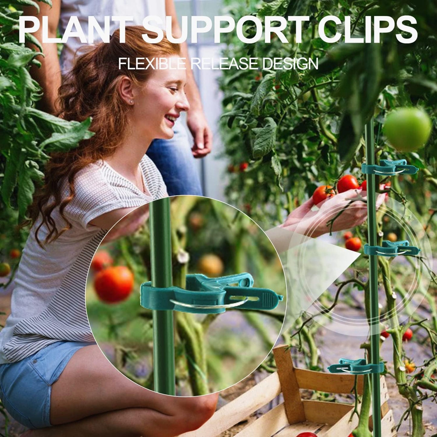 40 Clips Soporte Plantas Tomate Jardín Vertical