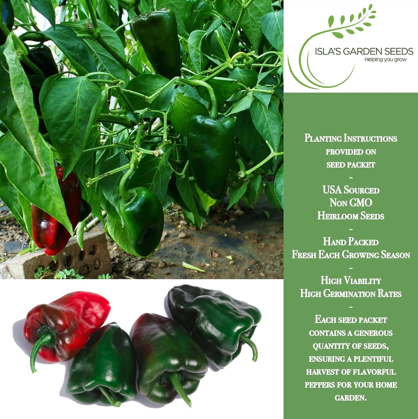 Semillas pimiento poblano ancho grande 50+ sin OMG sabor ahumado