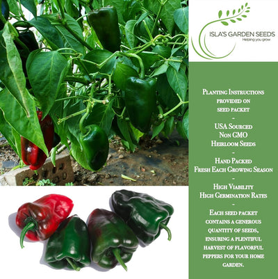 Semillas pimiento poblano ancho grande 50+ sin OMG sabor ahumado