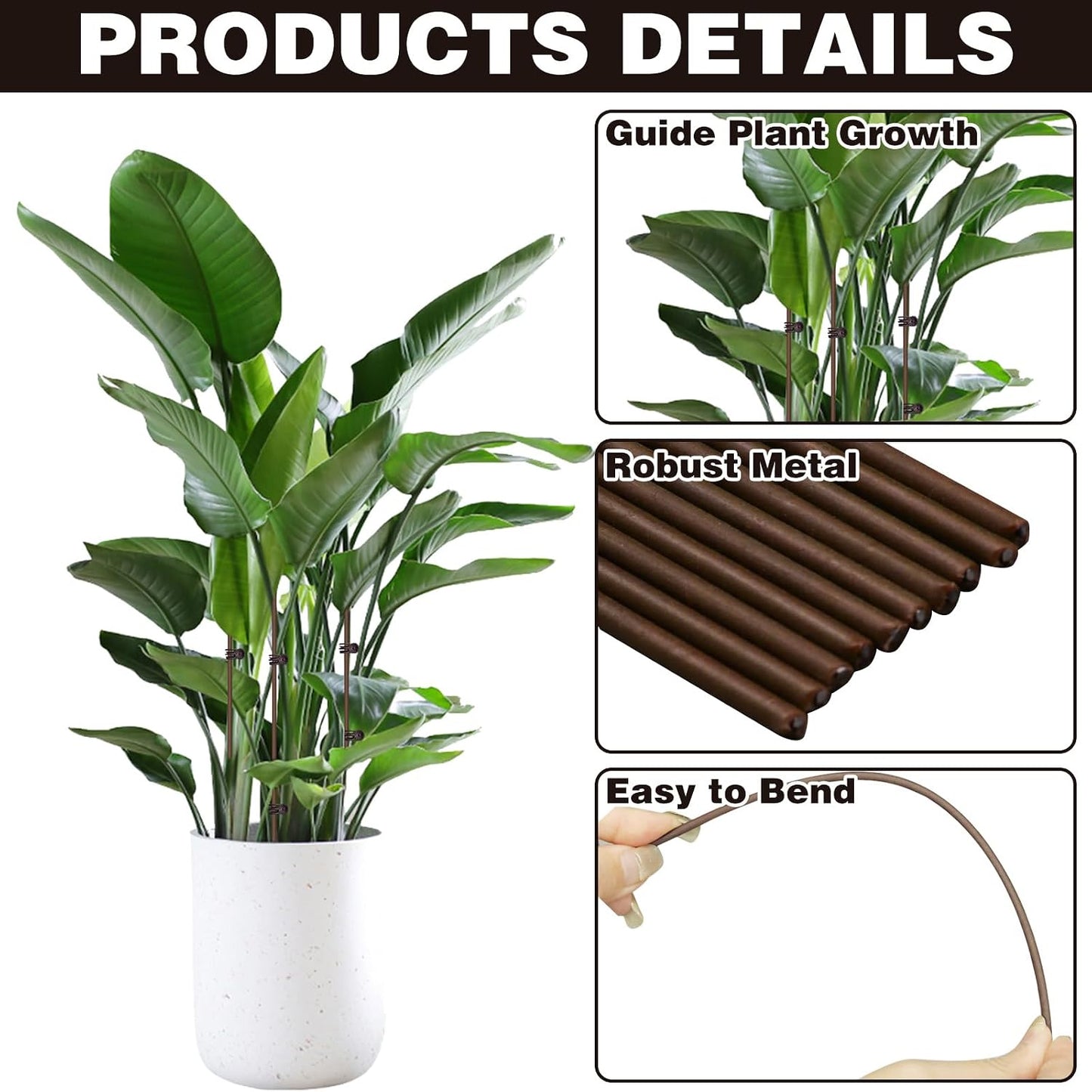 10 Estacas Soporte Plantas 15 Clips 18pulg Marrón
