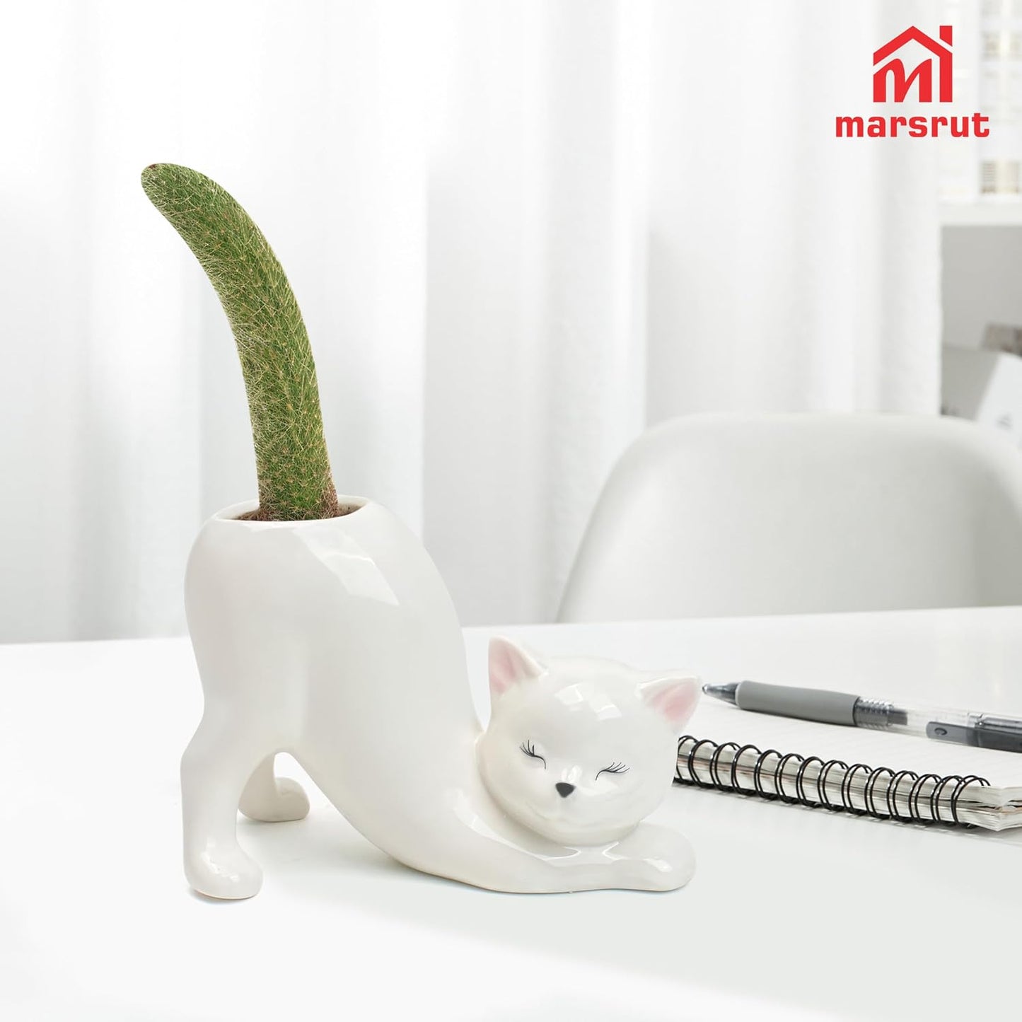 Maceta gato florero cerámica suculenta forma trasero