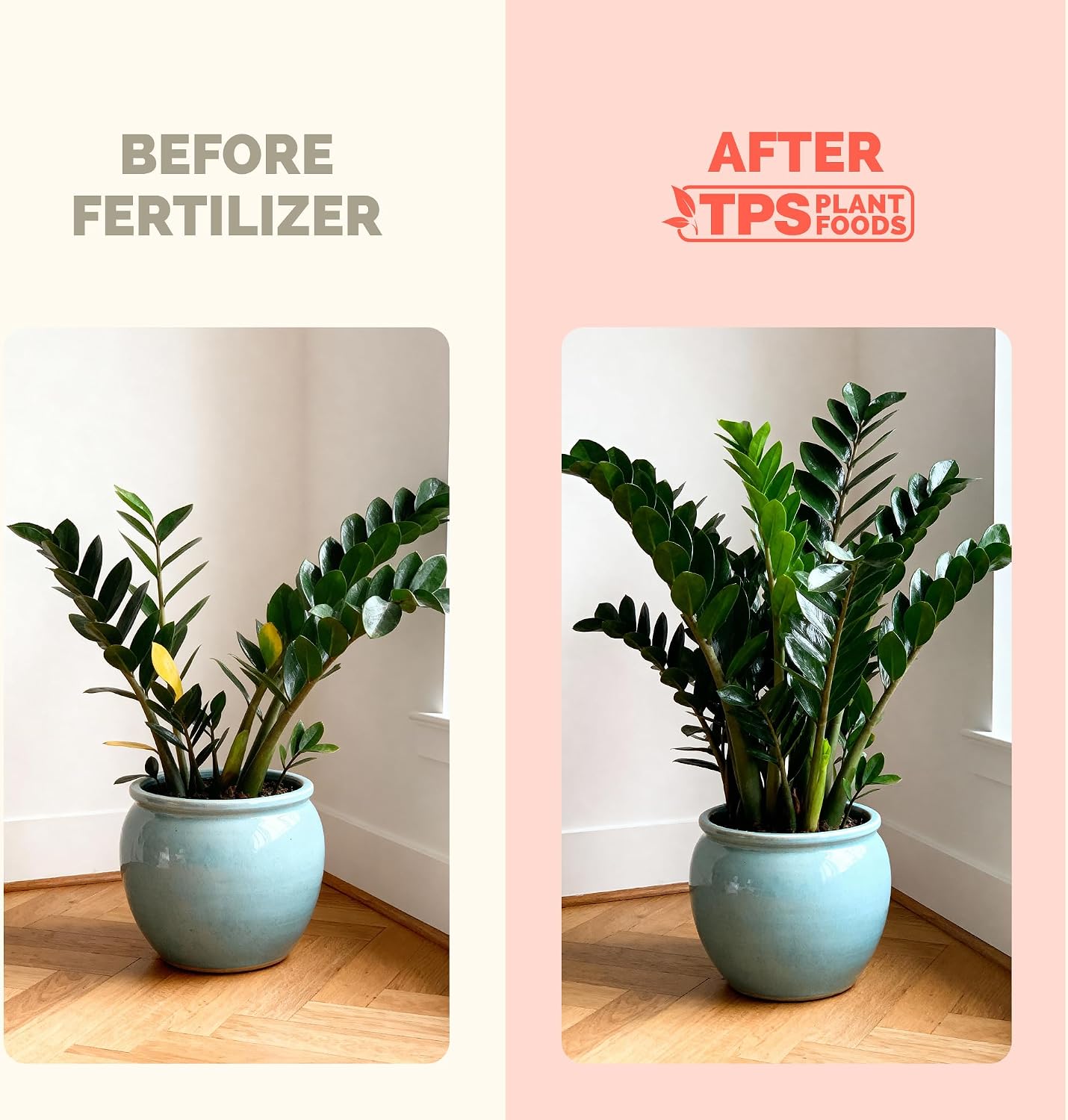 Fertilizante líquido para plantas hojas brillantes 8oz