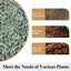 Rocas zeolita verde para suculentas y cactus 5lb