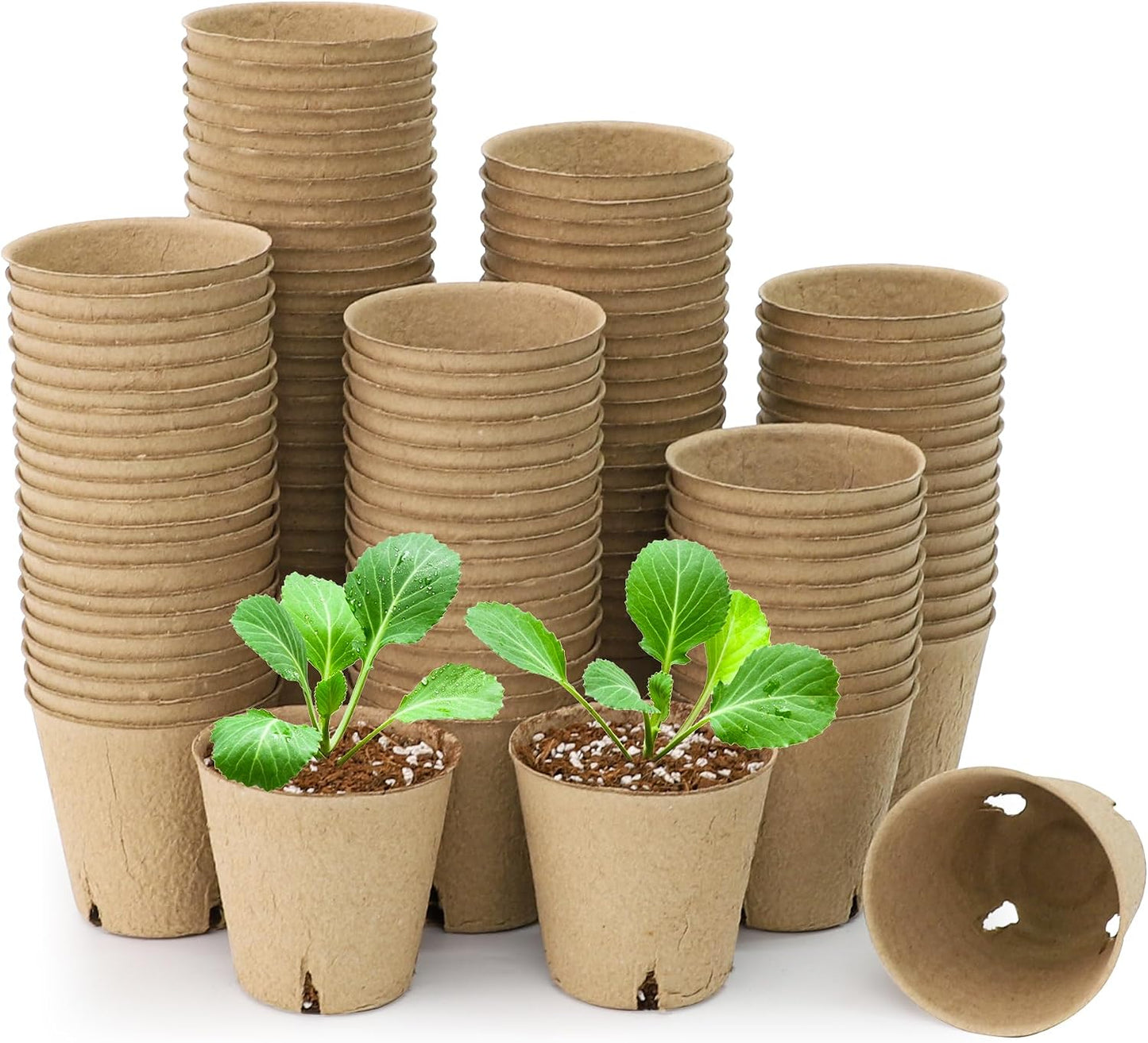 120 Macetas Turba 3.15pulg Biodegradables con Orificios Drenaje