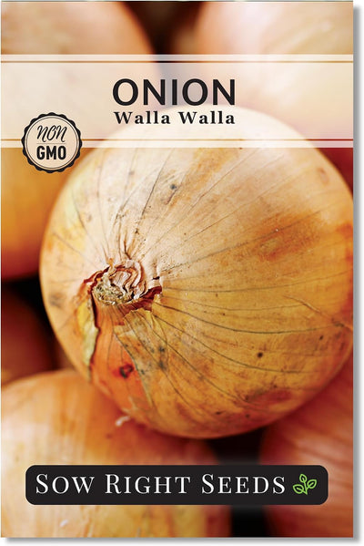 Semillas cebolla Walla Walla dulce para huerto al aire libre
