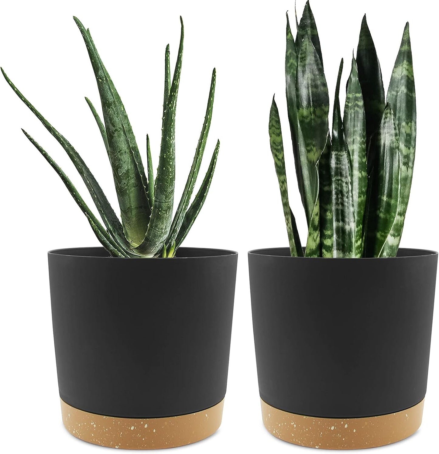 Maceta 8pulg set 2 con platillo drenaje decoración moderna