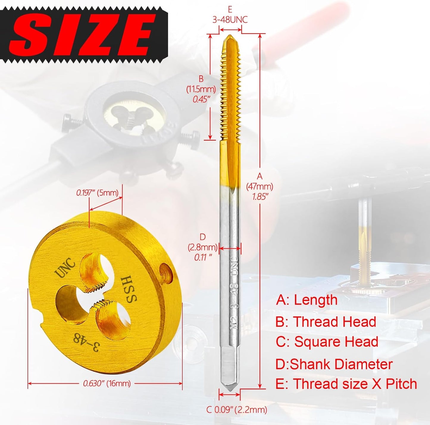 Set Tornillo y Arandela 3-48 UNC M2 HSS