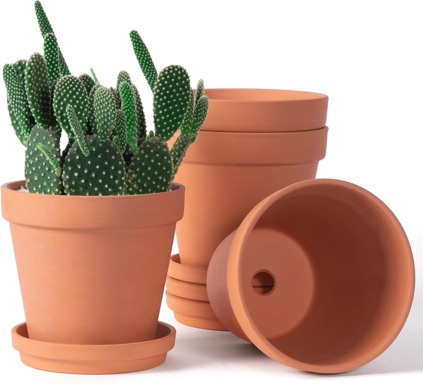 Macetas terracota 6pulg con platillo drenaje plantas