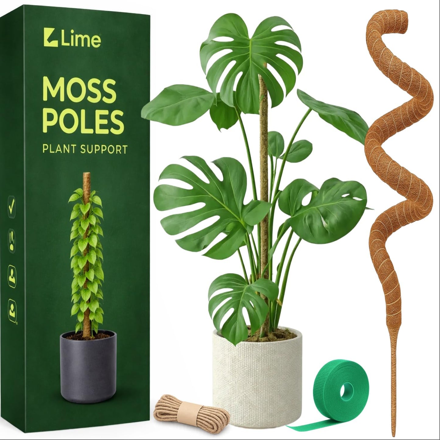 Soporte planta Monstera poste musgo flexible 48pulg