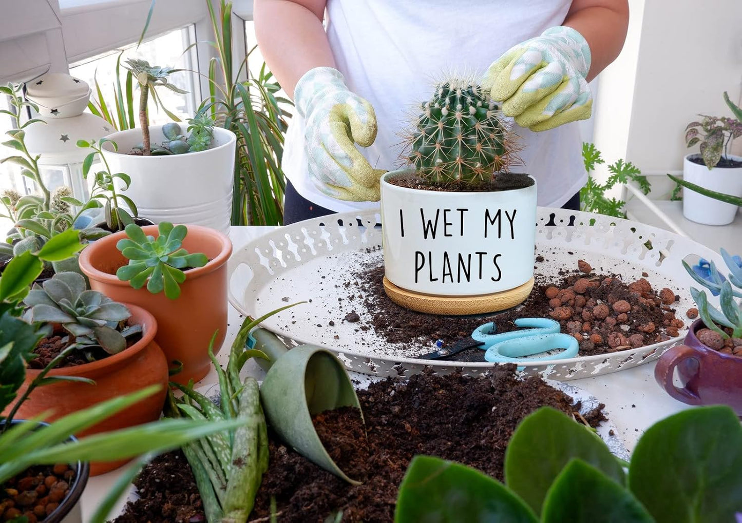Maceta cerámica blanca 3.5pulg cactus suculentas con bandeja bambú