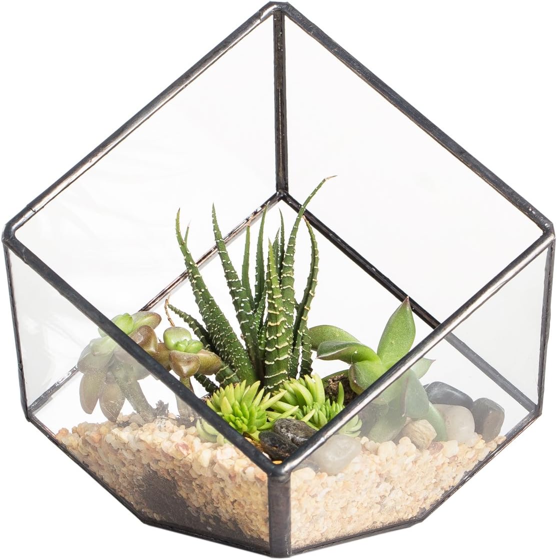 Terrario geométrico pequeño de vidrio transparente