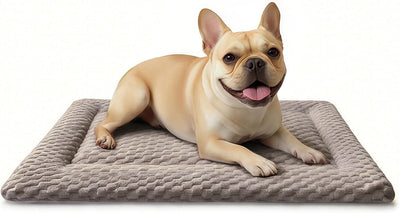 Almohadón para perros 24x16 pulg suave lavable en seco marrón claro