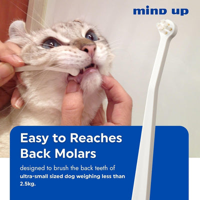 Cepillo dientes gato microcabeza 15° suave diario