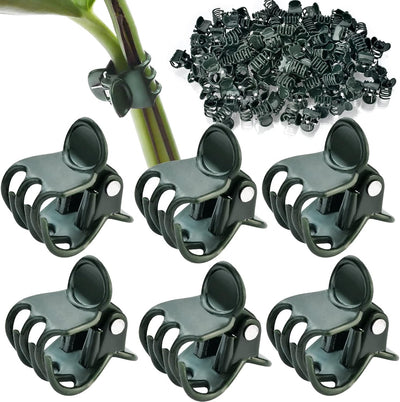 100 Clips Soporte Orquídeas Tallos Plantas Trepadoras
