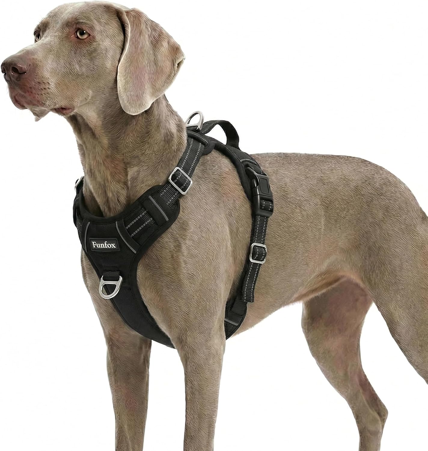 Arnés perro XL ajustable sin tirones mango vertical reflejante