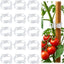 100 Clips Plástico Soporte Tomate Jardín Reutilizables